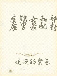 摩羯女和哪个星座男最配对