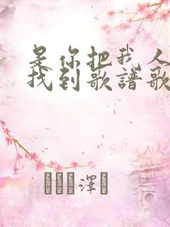 是你把我人海中找到歌谱歌词