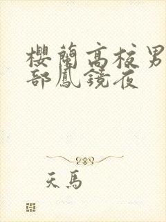 樱兰高校男公关部凤镜夜