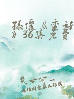 孙俪《蛮好人生》36集免费观看