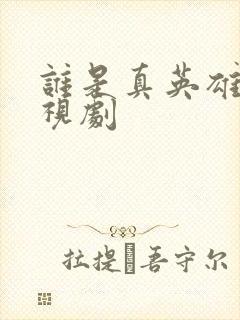 谁是真英雄 电视剧