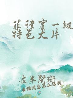 菲律宾一级特黄特色大片