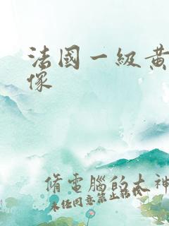 法国一级黄色录像