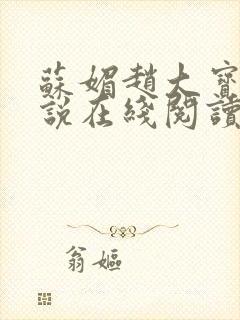 苏媚赵大宝 小说在线阅读