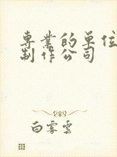 专业的单位网站制作公司