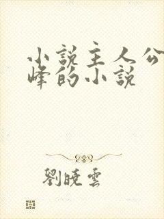 小说主人公叫林峰的小说