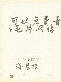 可以免费看的av毛片网站