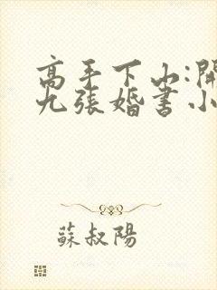 高手下山:开局九张婚书小说