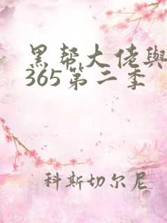 黑帮大佬与我的365第二季