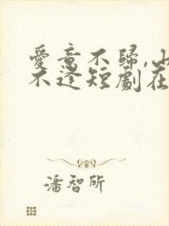 爱意不归,山水不逢短剧在线观看