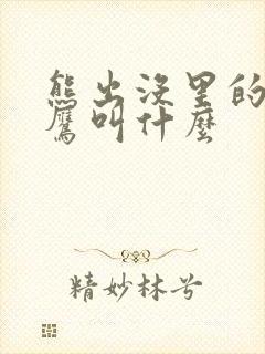 熊出没里的猫头鹰叫什么