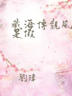 藏海传观风是真是假