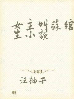 女主叫苏绾的重生小说