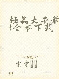 极品太子爷txt全本下载