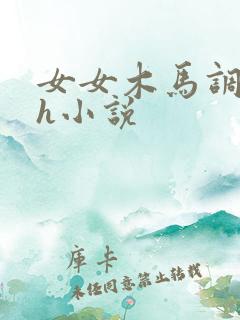 女女木马调教高h小说