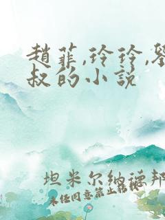 赵菲,玲玲,刘叔的小说