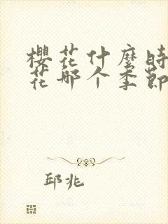 樱花什么时候开花哪个季节