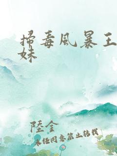 扫毒风暴王辉妹妹