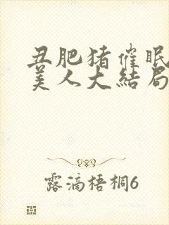 丑肥猪催眠清冷美人大结局