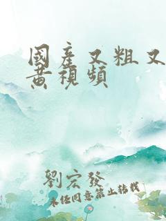 国产又粗又爽的黄视频