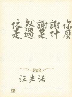 依然谢谢你陪我走过是什么歌