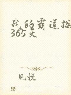 我的霸道总裁的365天