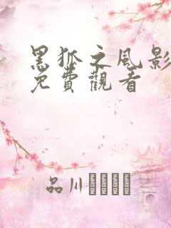 黑狐之风影全集免费观看