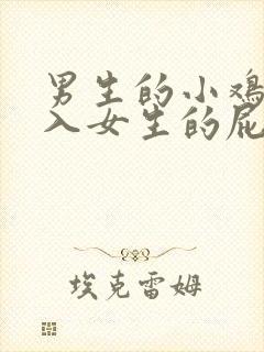 男生的小鸡鸡插入女生的屁股里面