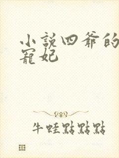 小说四爷的心尖宠妃