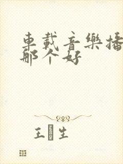 车载音乐播放器那个好