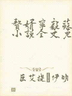 赘婿宁毅苏檀儿小说全文免费阅读起点