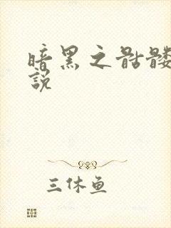 暗黑之骷髅王小说