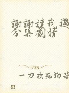 谢谢让我遇见你分集剧情