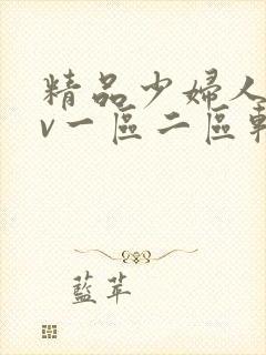 精品少妇人妻av一区二区软件