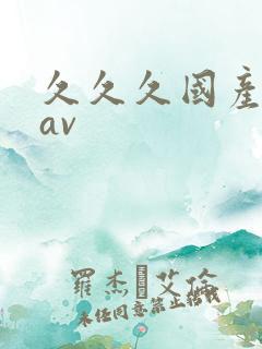 久久久国产精品av