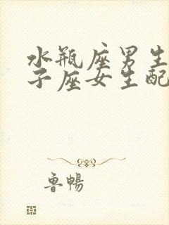 水瓶座男生和狮子座女生配对指数