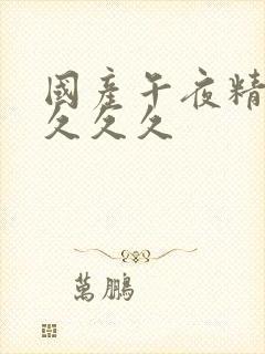 国产午夜精品久久久久