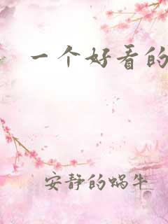 一个好看的手帐