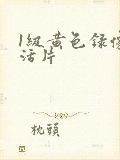 1级黄色录像生活片