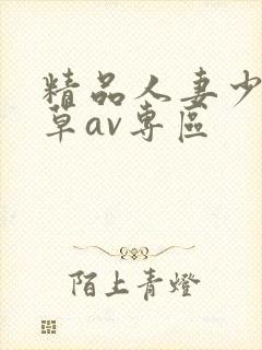 精品人妻少妇嫩草av专区