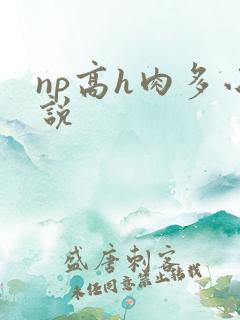 np高h肉多小说