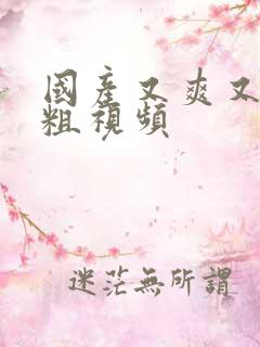 国产又爽又黄又粗视频