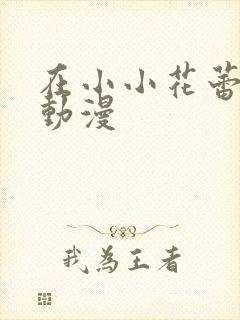 在小小花蕾绽放动漫