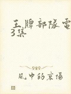 王牌部队电视剧3集