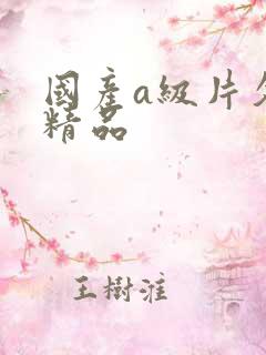 国产a级片久久精品