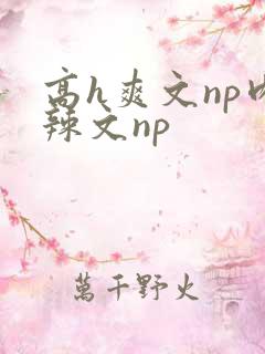 高h爽文np肉辣文np