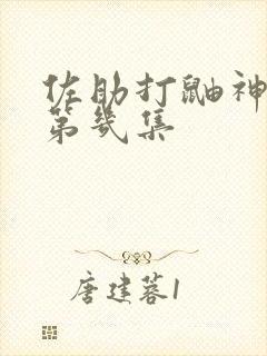 佐助打鼬神是在第几集