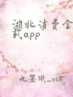 湖北消费金融下载app