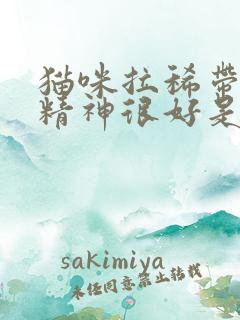 猫咪拉稀带血但精神很好是怎么回事怎么办