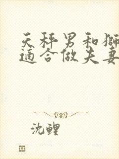 天秤男和狮子女适合做夫妻吗